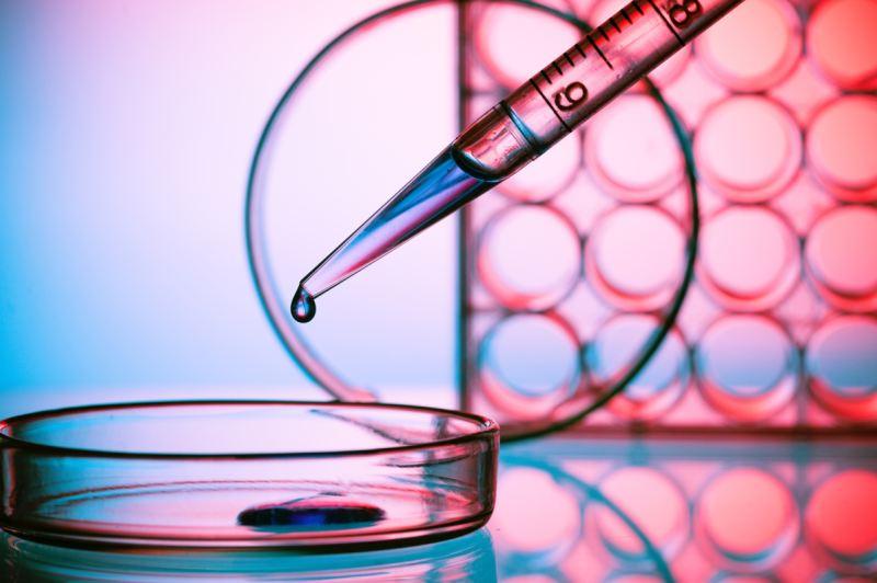 science foto / Fotolia