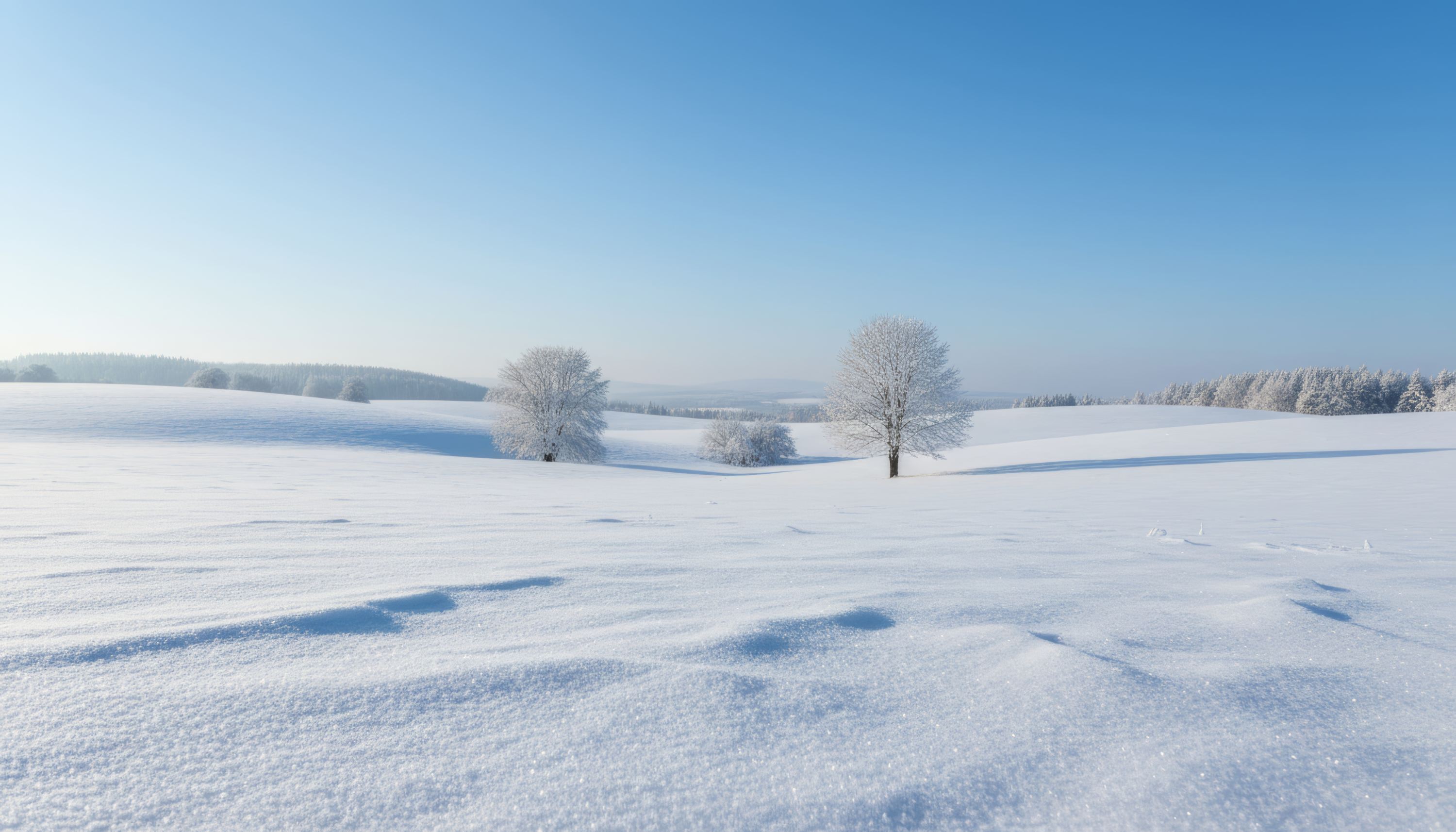 winterlandschaft 01